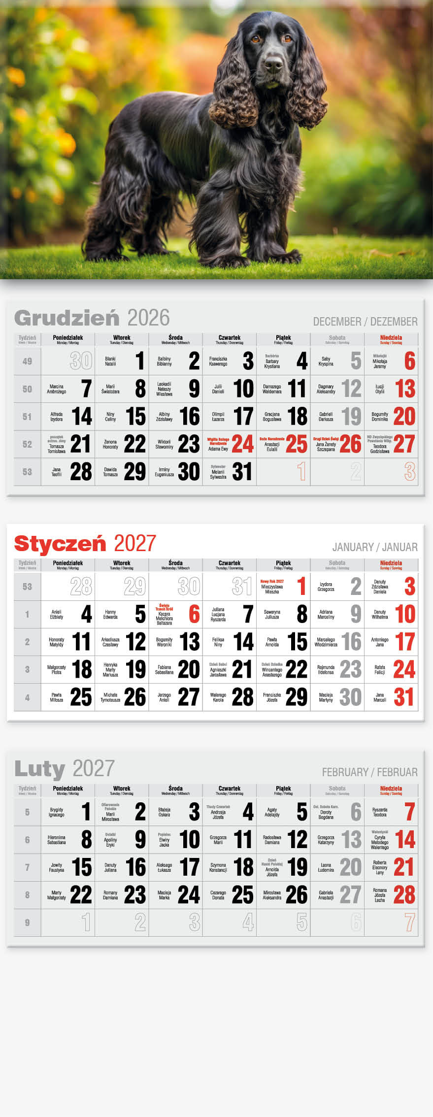 Kalendarz trójdzielny Lux KTL Avanti